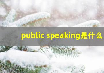 public speaking是什么